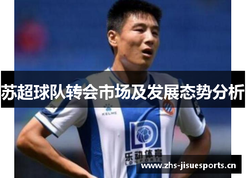 苏超球队转会市场及发展态势分析